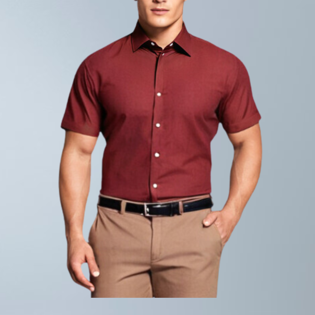 Men's Regular Dress Shirt Fit Solid